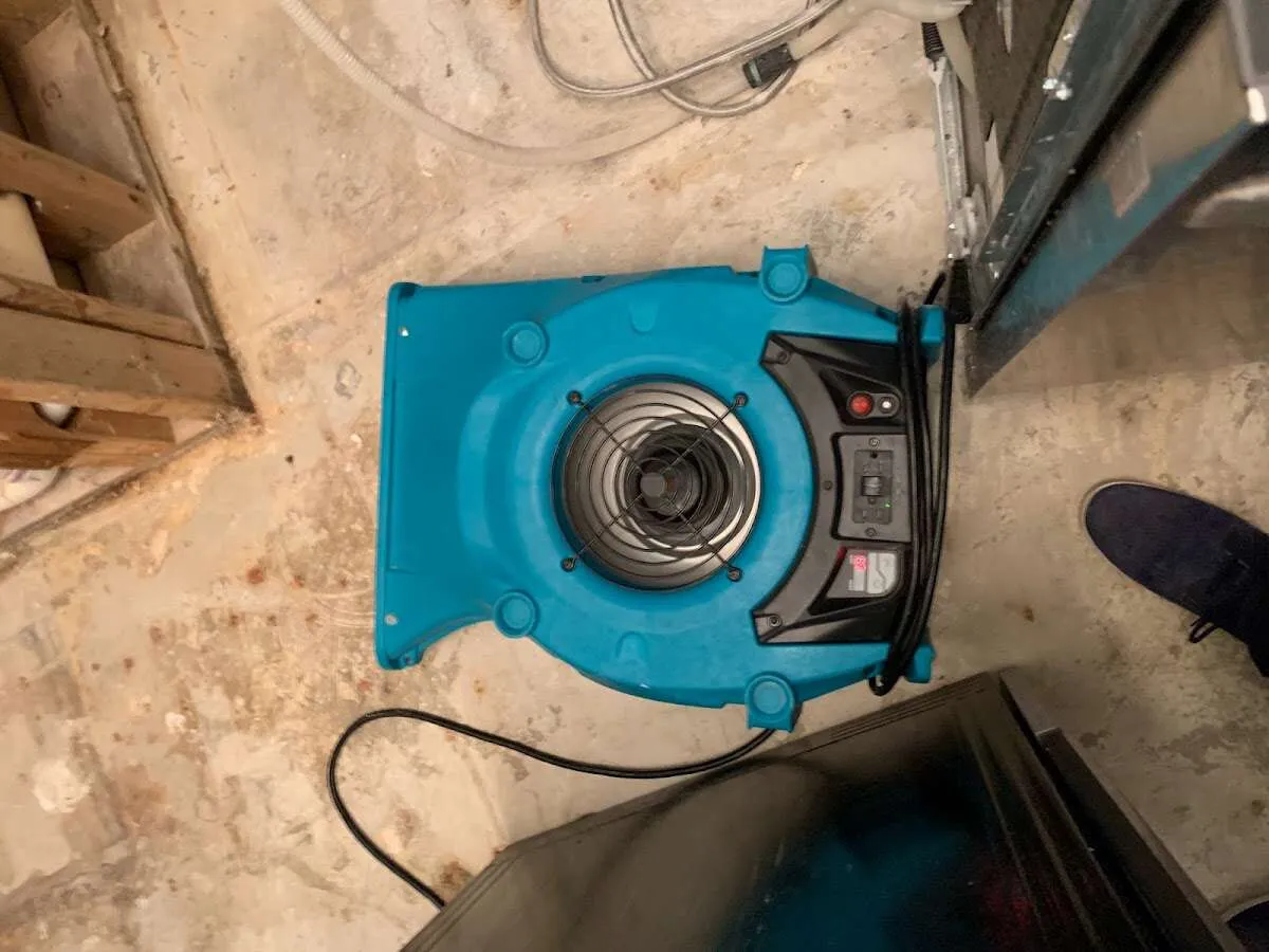 Air mover drying equipment for Mold Remediation & Removal in Independence